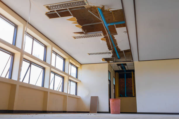 Best Fire Damage Restoration  in La Mesilla, NM