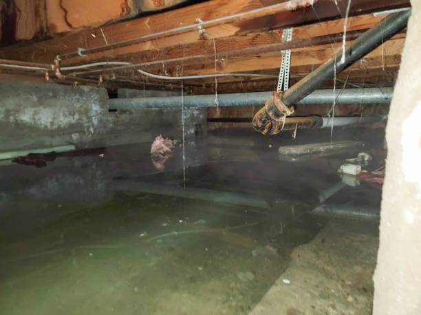 Best 24-hour water damage restoration  in La Mesilla, NM