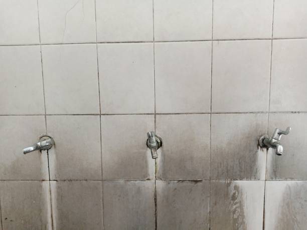 Best Local water damage restoration  in La Mesilla, NM
