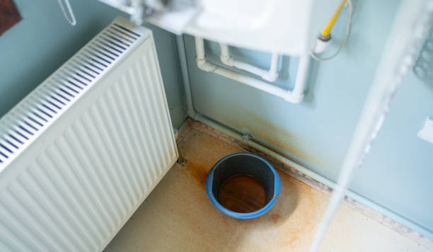 Carpet water damage restoration in La Mesilla, NM