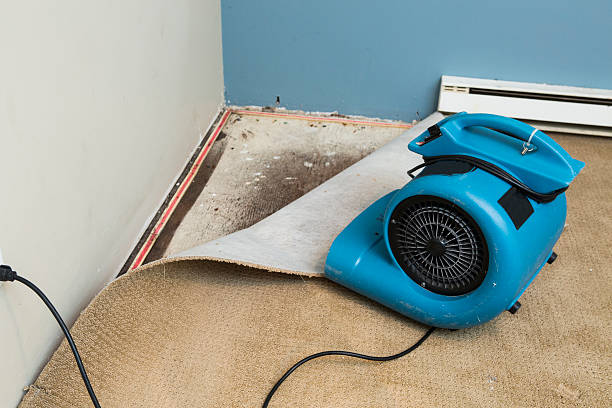Best Residential water damage restoration  in La Mesilla, NM